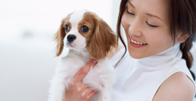 高齢出産をした有名人・芸能人